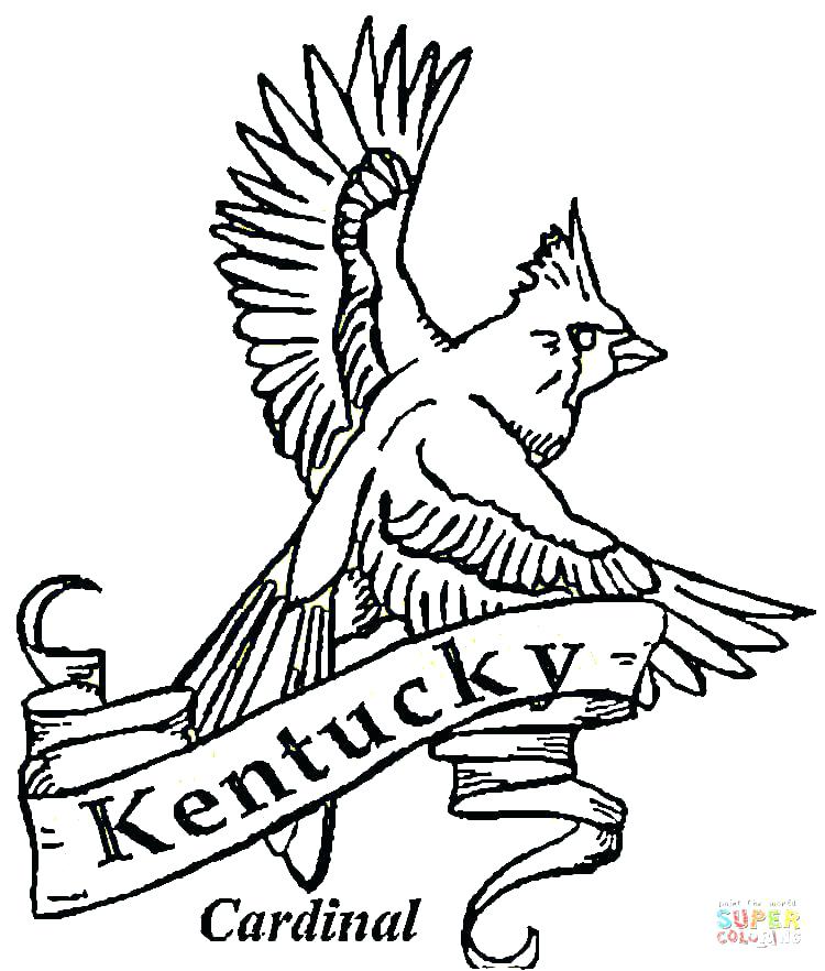 750x882 Arizona State Bird Coloring Page State Bird Coloring Pages