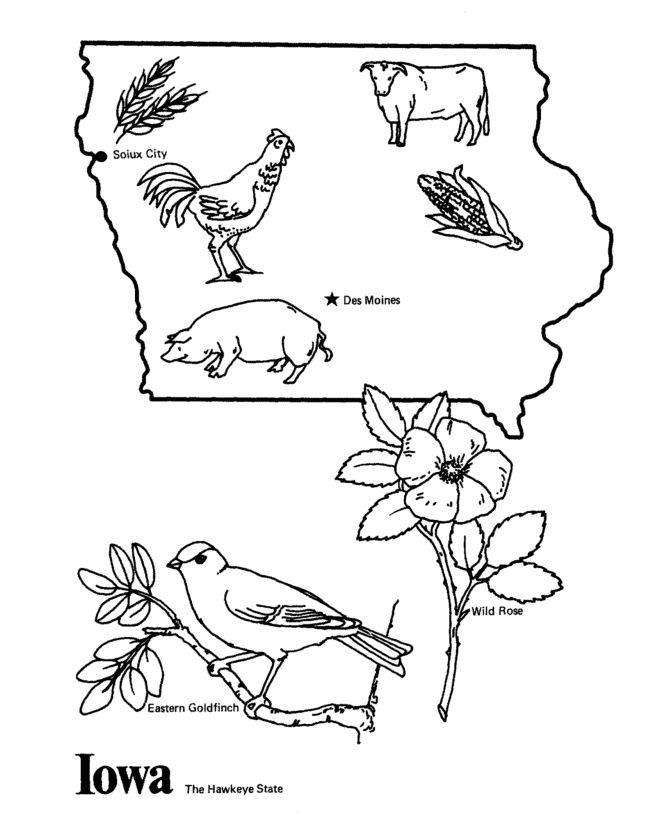 670x820 Iowa State Outline Coloring Page Cc Cycle 3 Week 6 Iowa
