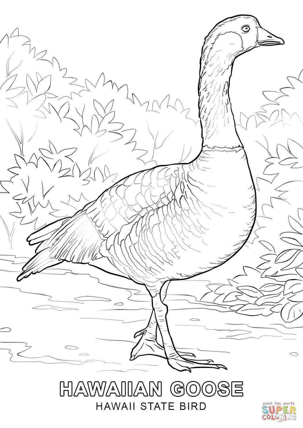 1020x1440 Now Flag Of Hawaii Coloring Page State Day Off