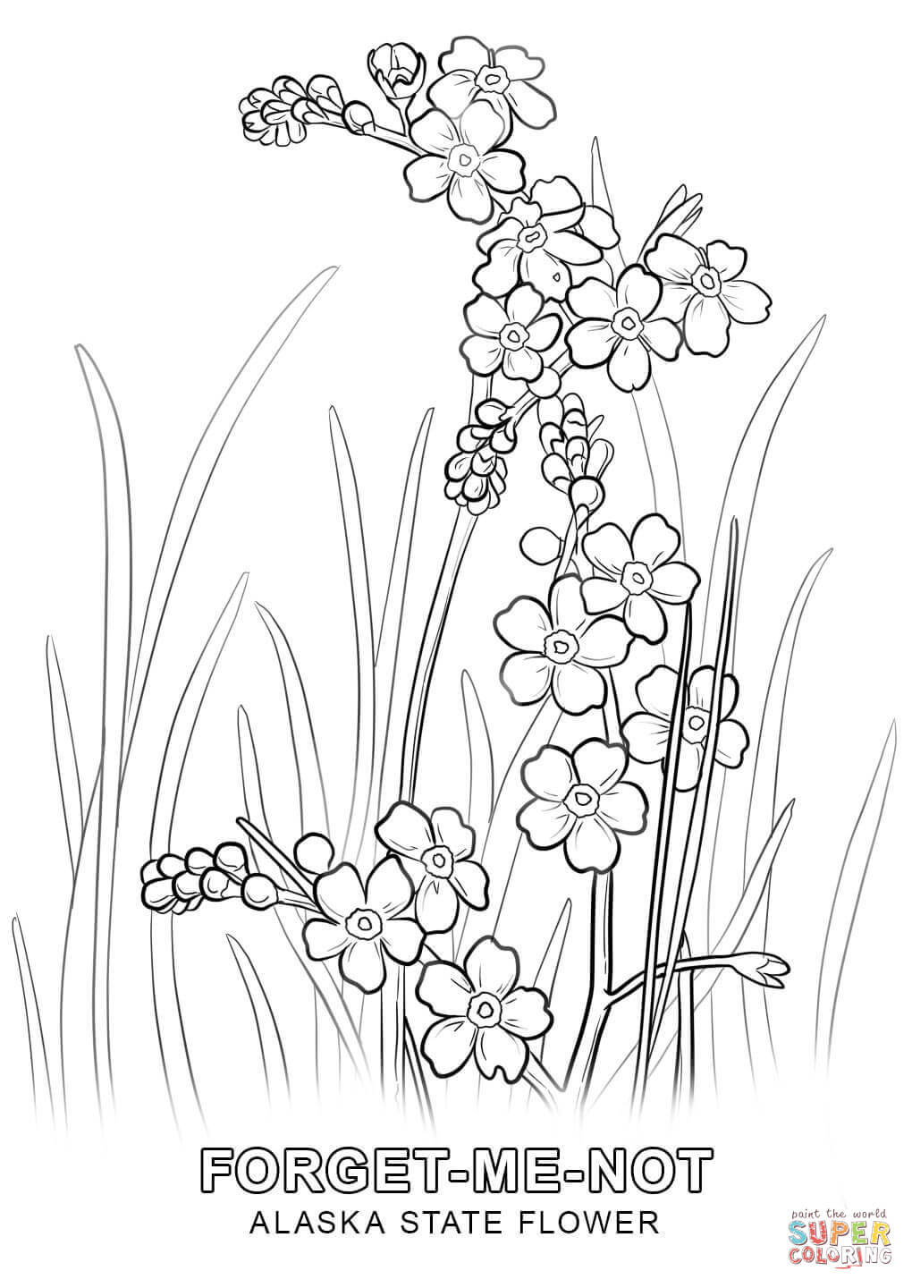 1020x1440 Spotlight Alaska State Flag Coloring Page Flower Free Printable