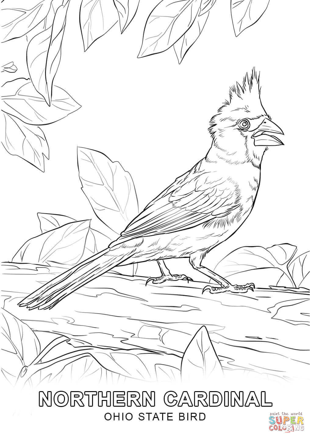 1020x1440 Coloring Pages Countries Cultures Ohio State Bird Divacoronas Com