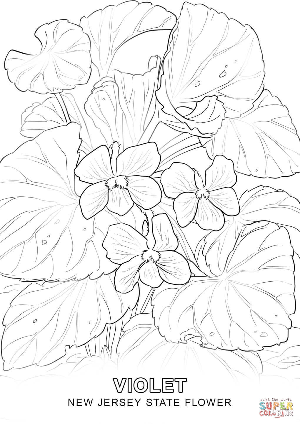 1020x1440 Fresh State Flower Coloring Pages Collection Printable Coloring