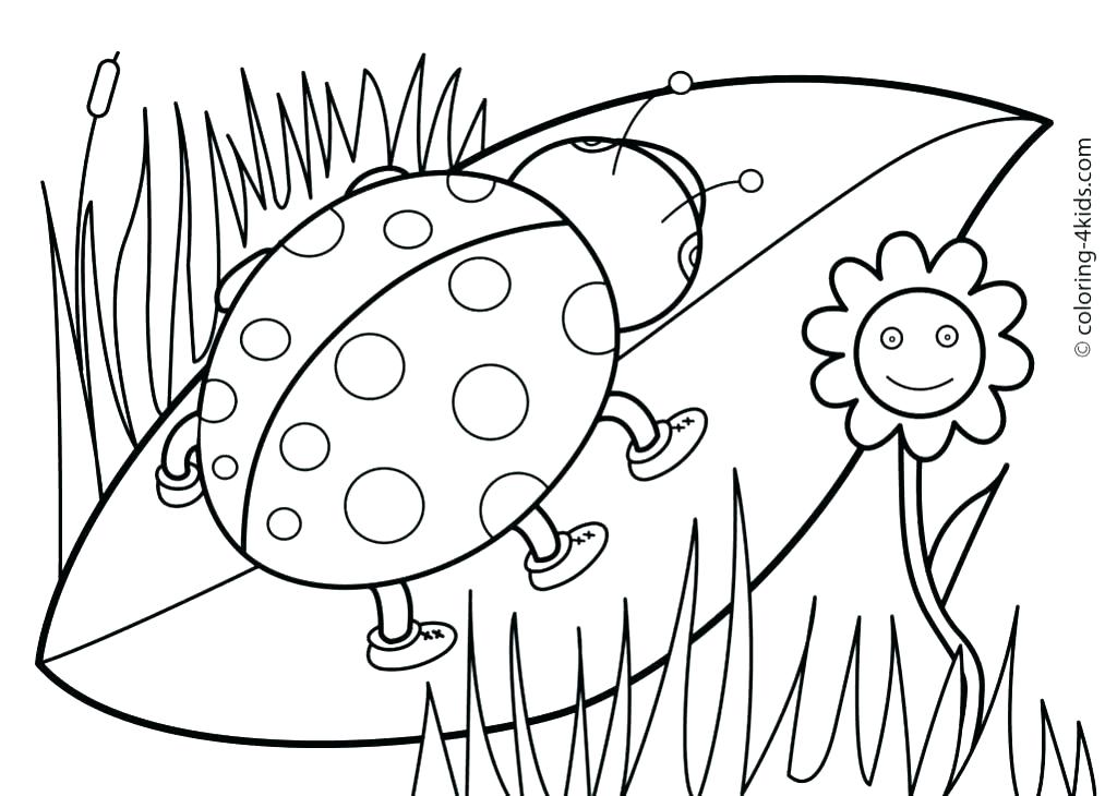 1024x730 Hawaiian Flowers Coloring Pages Flower Coloring Sheets Printable
