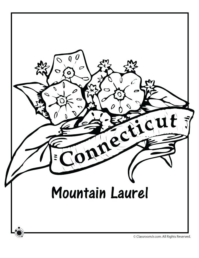 680x880 State Flower Coloring Page Fresh Picture State State Flower