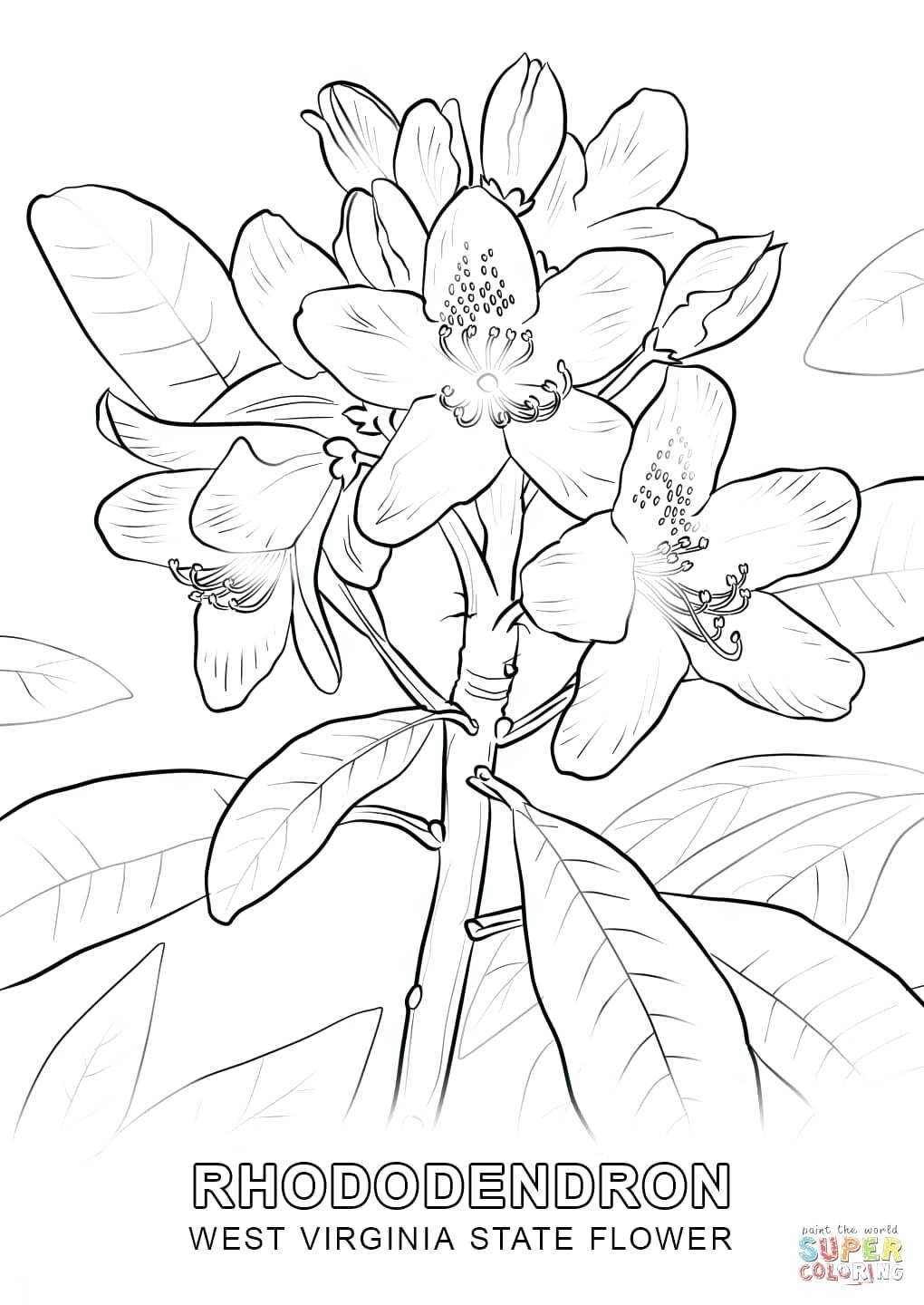 1020x1440 Coloring Pages ~ Floral Coloring Pages Click The West State Flower