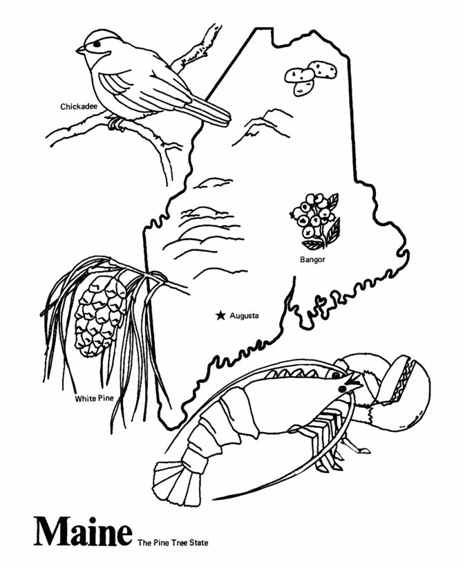 670x820 83 Best Coloring Pages
