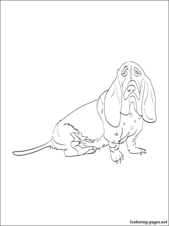 560x750 Basset Hound Coloring Pages Vector Of A Cartoon Basset Hound