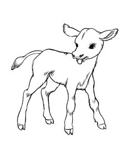 236x325 Free Coloring Page Embroidery 2 Farming, Farm