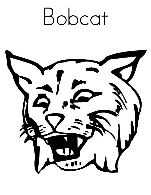 600x776 23 Bobcat Coloring Pages Images Free Coloring Pages