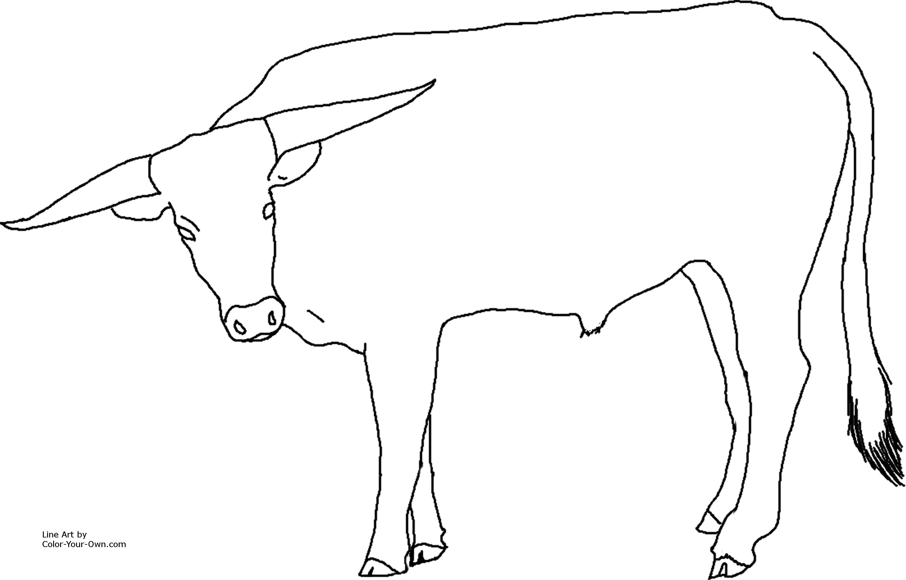3000x1922 New Longhorn Coloring Pages Gallery Printable Coloring Sheet