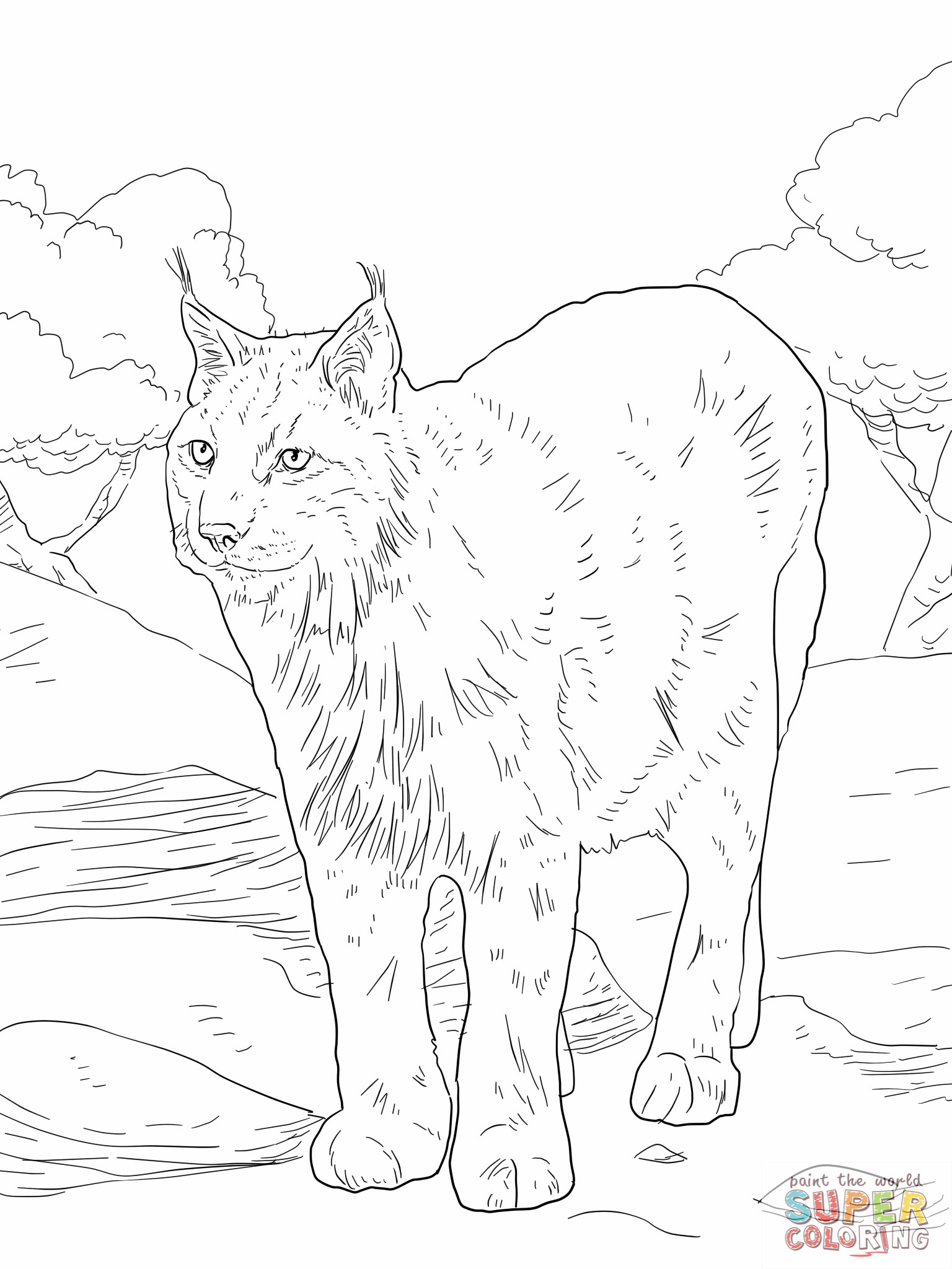 1536x2048 Bobcat Coloring Pages