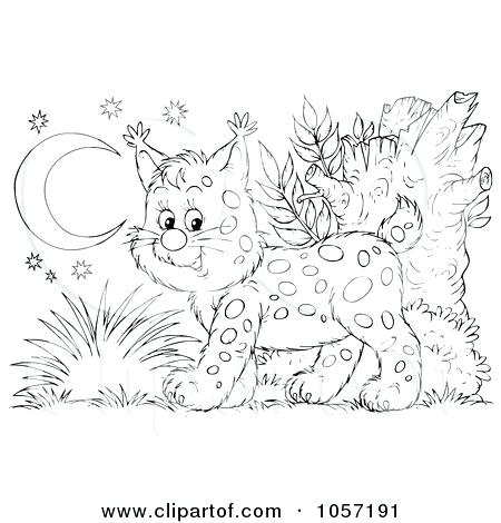 450x470 Bobcat Coloring Pages Bobcat Skid Steer Coloring Pages Bobcat