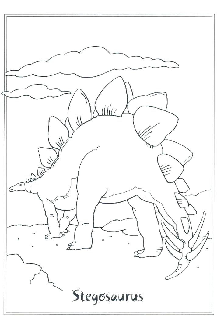 736x1065 Dinosaur Color Sheet Dinosaur Color By Number Sheets Stegosaurus