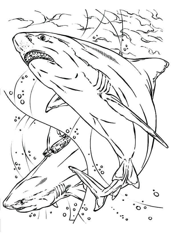 600x847 Stellaluna Coloring Page Coloring Page Bat Black And White Bat