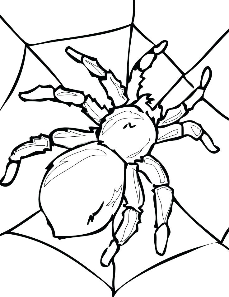 736x952 Stellaluna Coloring Pages Bat Coloring Page A Coloring Page