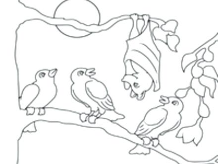 440x330 Stellaluna Colouring Pages Coloring Pages Free Stellaluna Coloring
