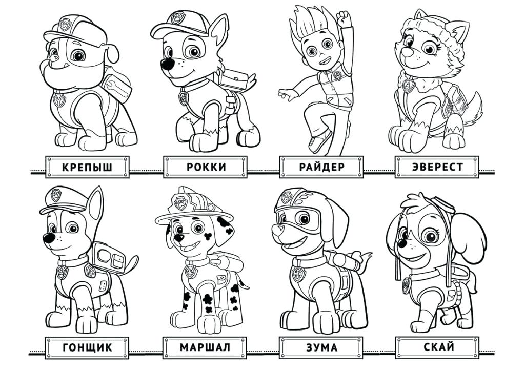 1024x724 Stellaluna Colouring Pages Lesson Lesson Plans Teaching Resources