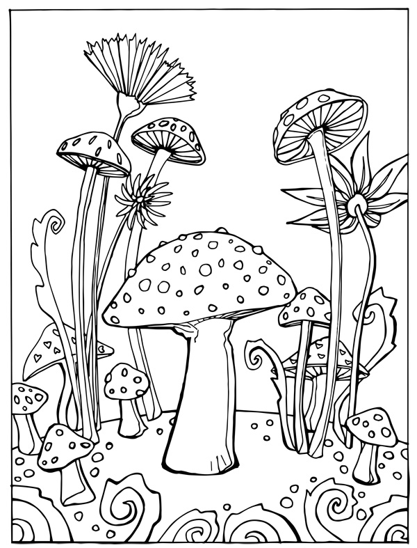 600x787 Flora And Fauna Coloring Sheets Short Leg Studio