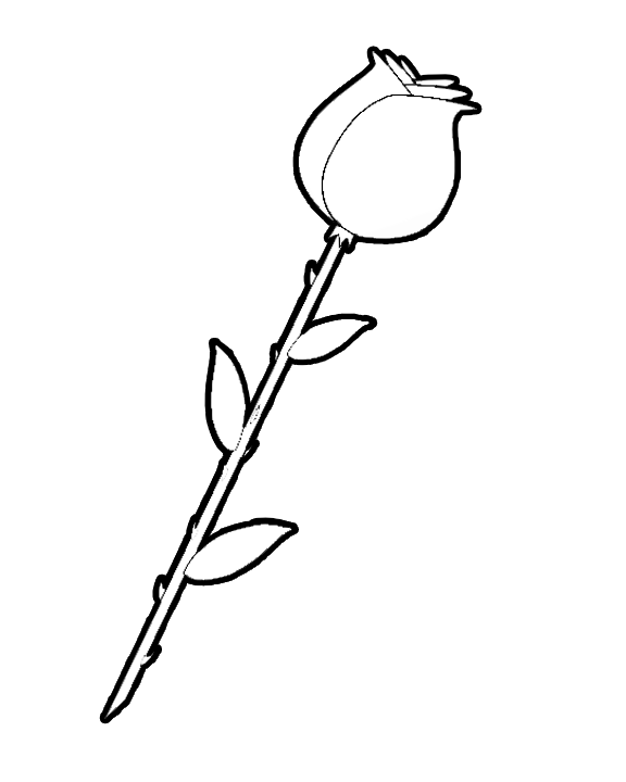 576x720 Long Stem Rose Coloring Book Page For Valentines Day Printable