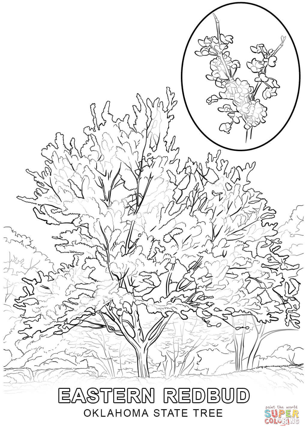 1020x1440 Promising Pistol Pete Coloring Page Fencing Boy Cub Scout And Stem