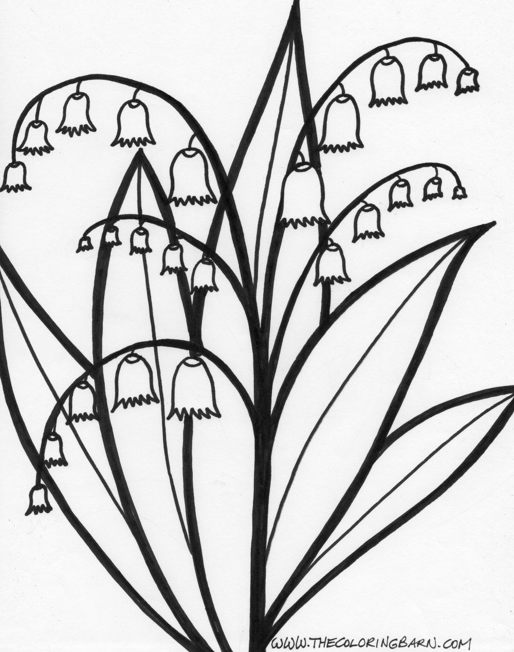1000x1267 Stem Coloring Pages Page Long Stem Roses Coloring Rajzocska