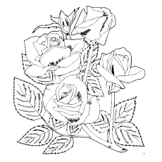 230x230 Top 25 Free Printable Beautiful Rose Coloring Pages For Kids