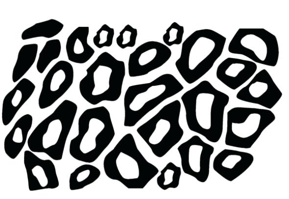 590x407 Zebra Print Coloring Pages Printable Zebra Print Stencil Library