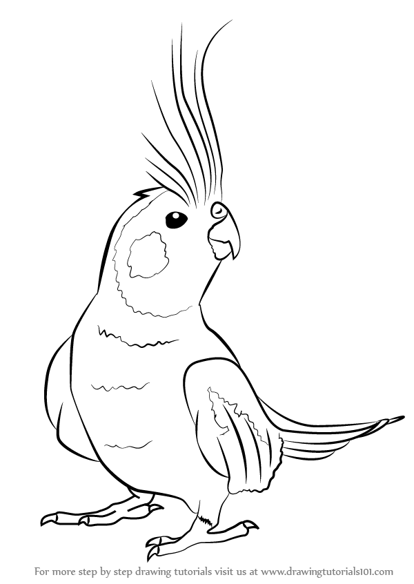600x846 How To Draw A Bird Step By Step Easy With Pictures Bird Animal