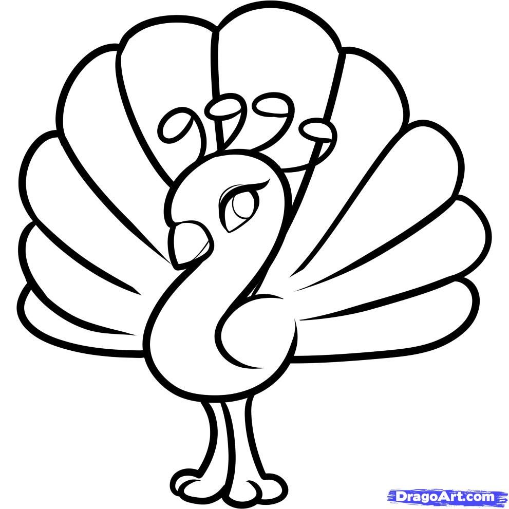 991x991 Simple Animal Coloring Pages How To Draw A Peacock For Kids