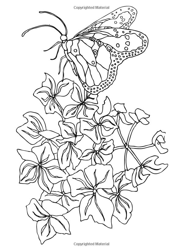 600x825 249 Best In The Garden 2 Color Images On Coloring