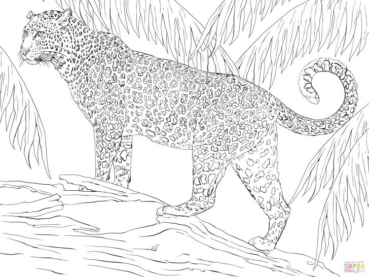 728x546 Bear Inthe Big Blue House Friend Treelo Coloring Pages Christmas