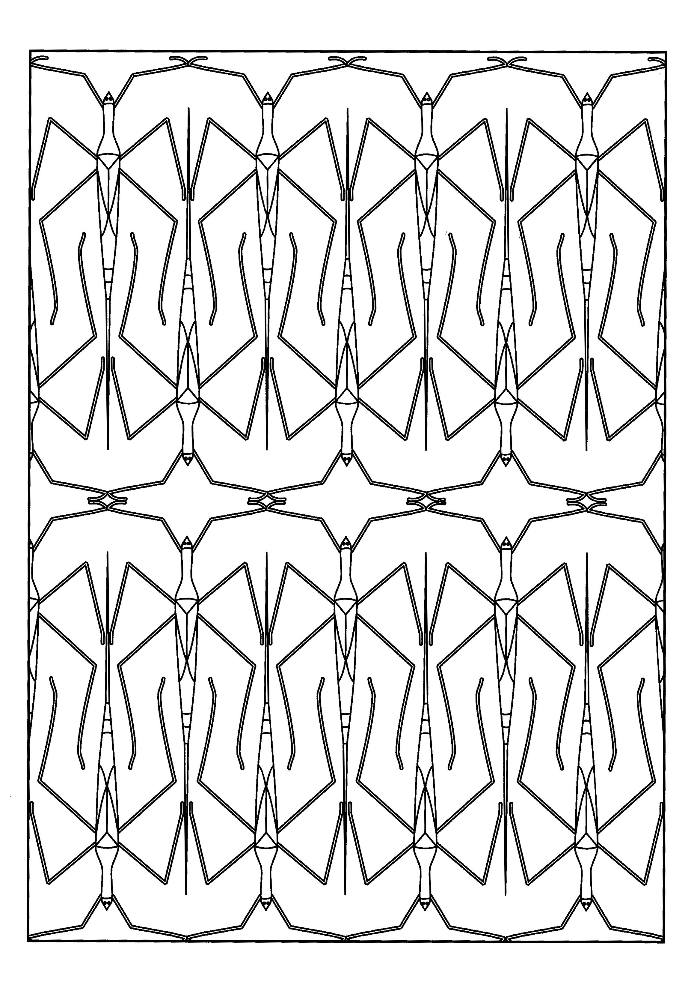 2316x3274 Stick Insect
