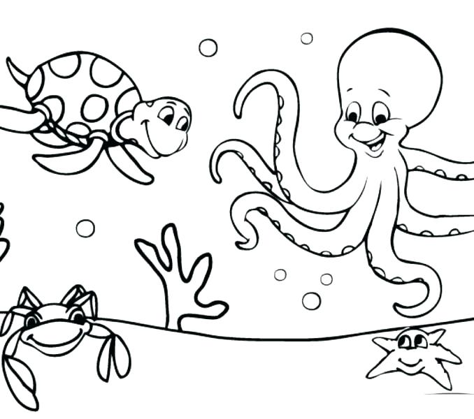 678x600 Click Clack Moo Coloring Pages