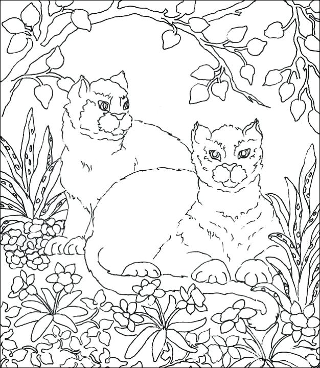 626x720 Cezanne Still Life Coloring Pages Kids Coloring Free Coloring