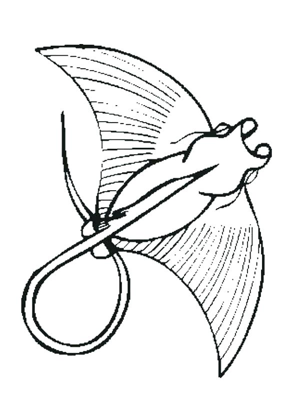600x831 Manta Ray Coloring Page Stingray Coloring Page Ray Coloring Pages
