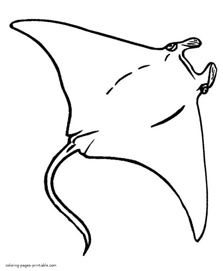 895x1086 Stingray Coloring Pages 7