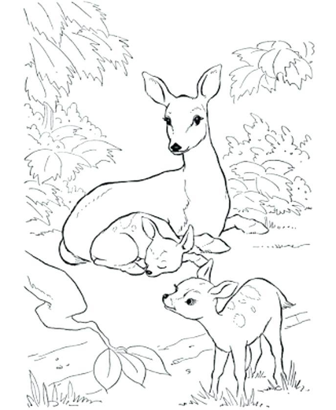 687x840 Browning Coloring Pages Medium Size Of Design Element Stone Age