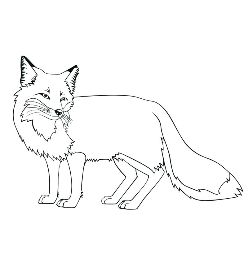 800x821 Fox And The Hound Coloring Pages Fox Coloring Pages Stone Fox