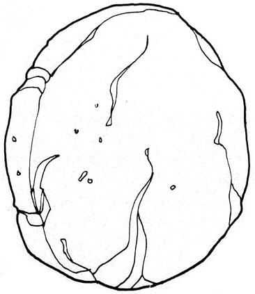 366x423 Who's Got The Stone Easter Sugardoodle Net