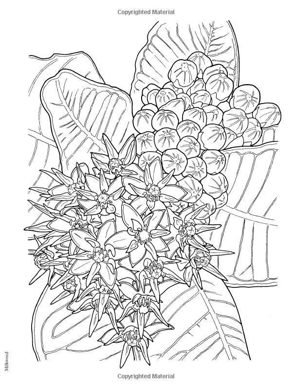 600x800 457 Best Coloring Books Images On Coloring Books
