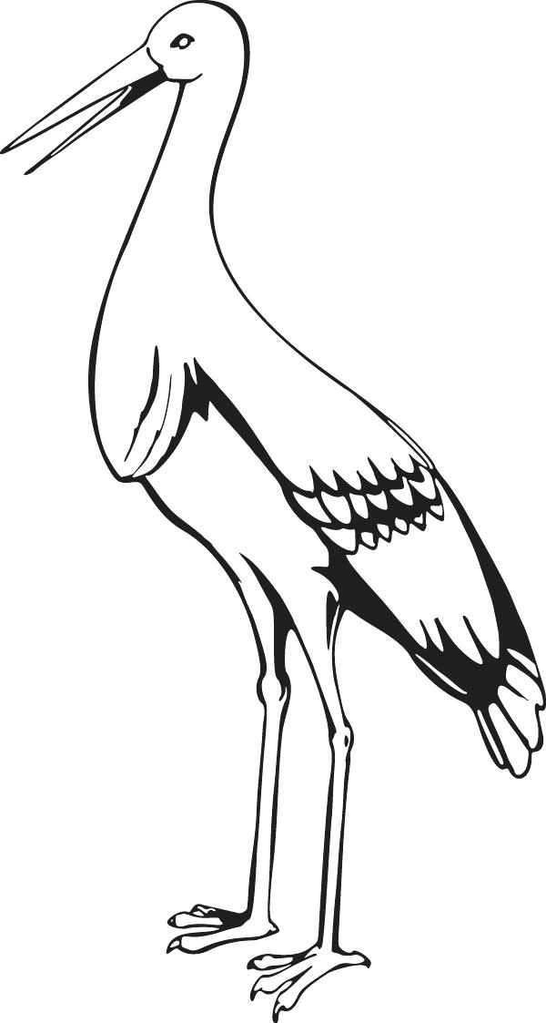600x1123 Stork Coloring Pages Free Stork Coloring Pages