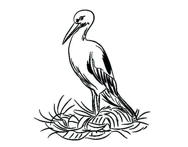 600x470 Stork Coloring Pages Stork And Nest Coloring Page Stork Colouring