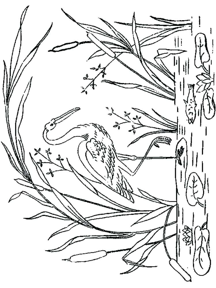 750x1000 Storks Coloring Pages Stork Coloring Page Stork Coloring Pages
