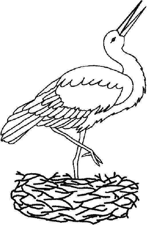 517x782 Stork Coloring Pages Dumbo Coloring Pages Medium Size Of Dumbo