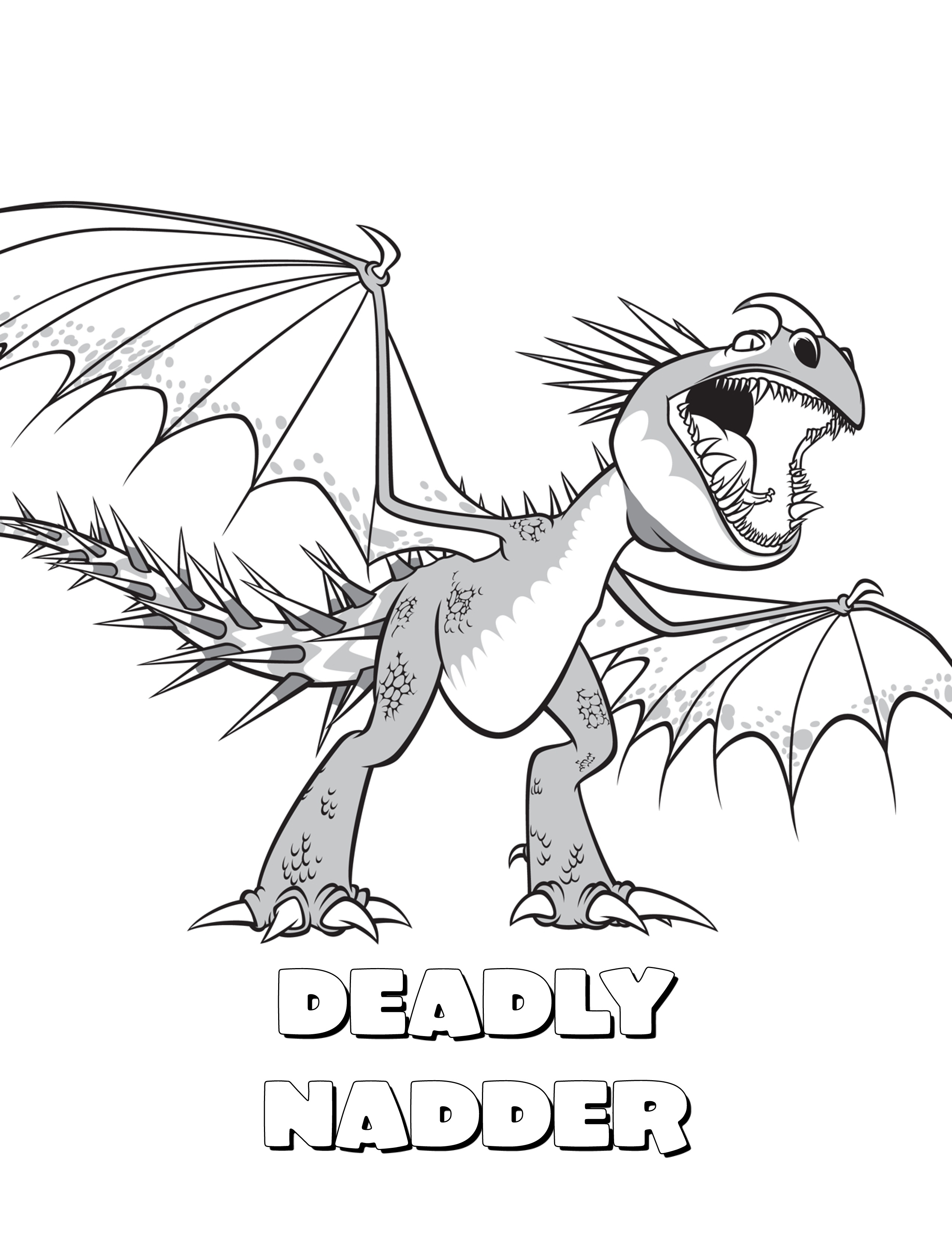 2550x3300 How To Train Your Dragon Coloring Pages Stormfly Deadly Nadder