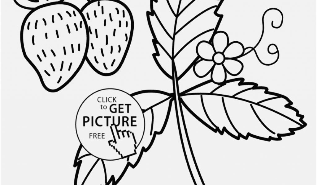 1024x600 Nature Coloring Pages Photo Strawberry Nature Coloring Page