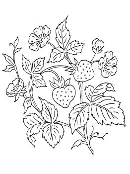 262x350 Strawberry Bush Embroidering Strawberry Bush