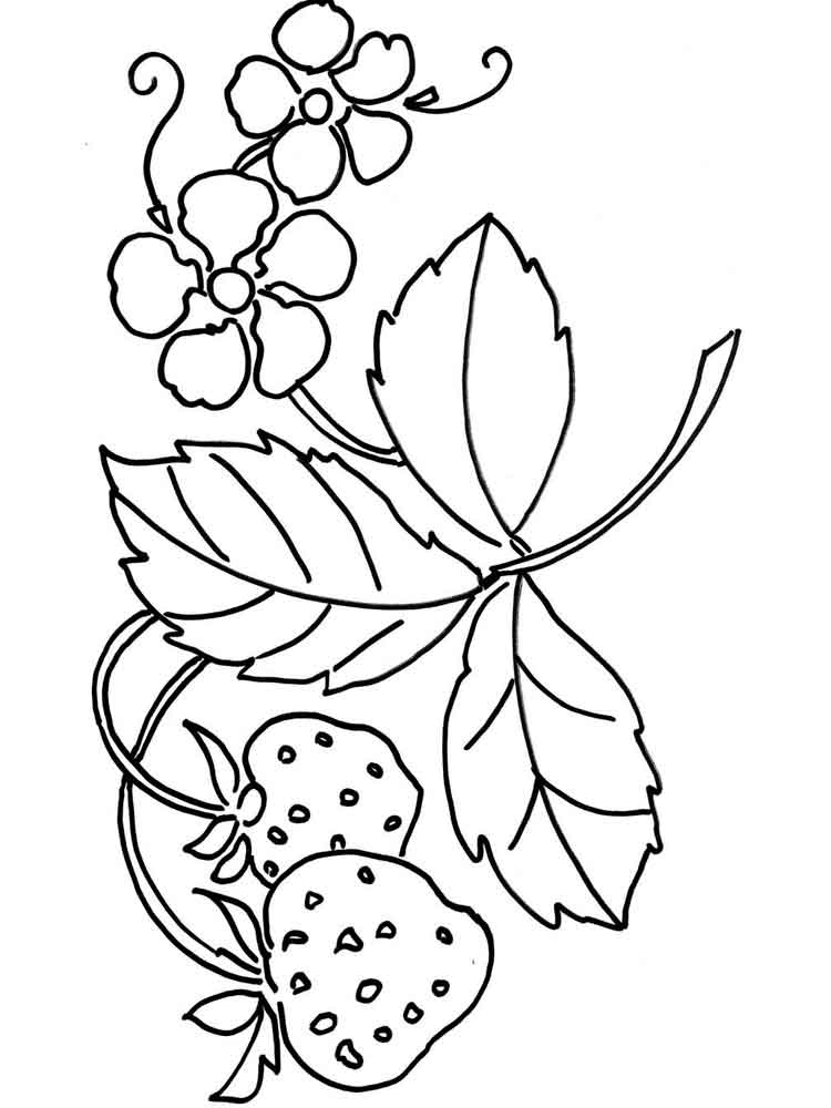 750x1000 Strawberry Berries Coloring Pages 14