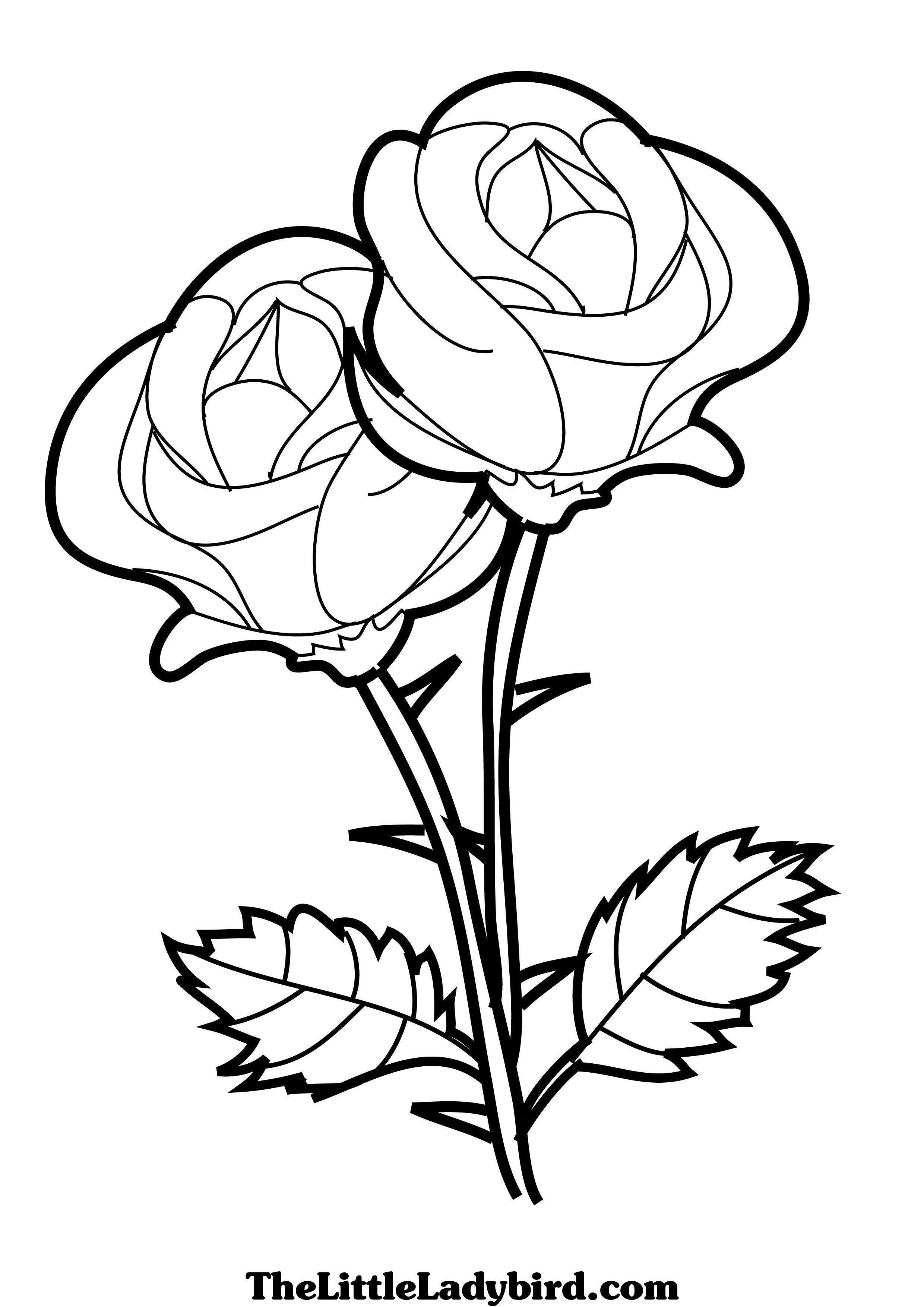 2480x3508 Three Flowers Coloring Pages For Kids Awesome Strawberry Plant