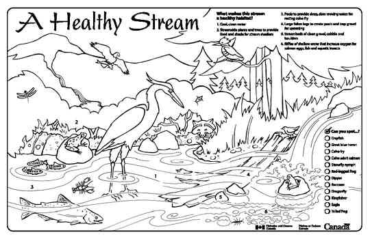 540x350 Streamkeepers Placemats And Colouring Sheets